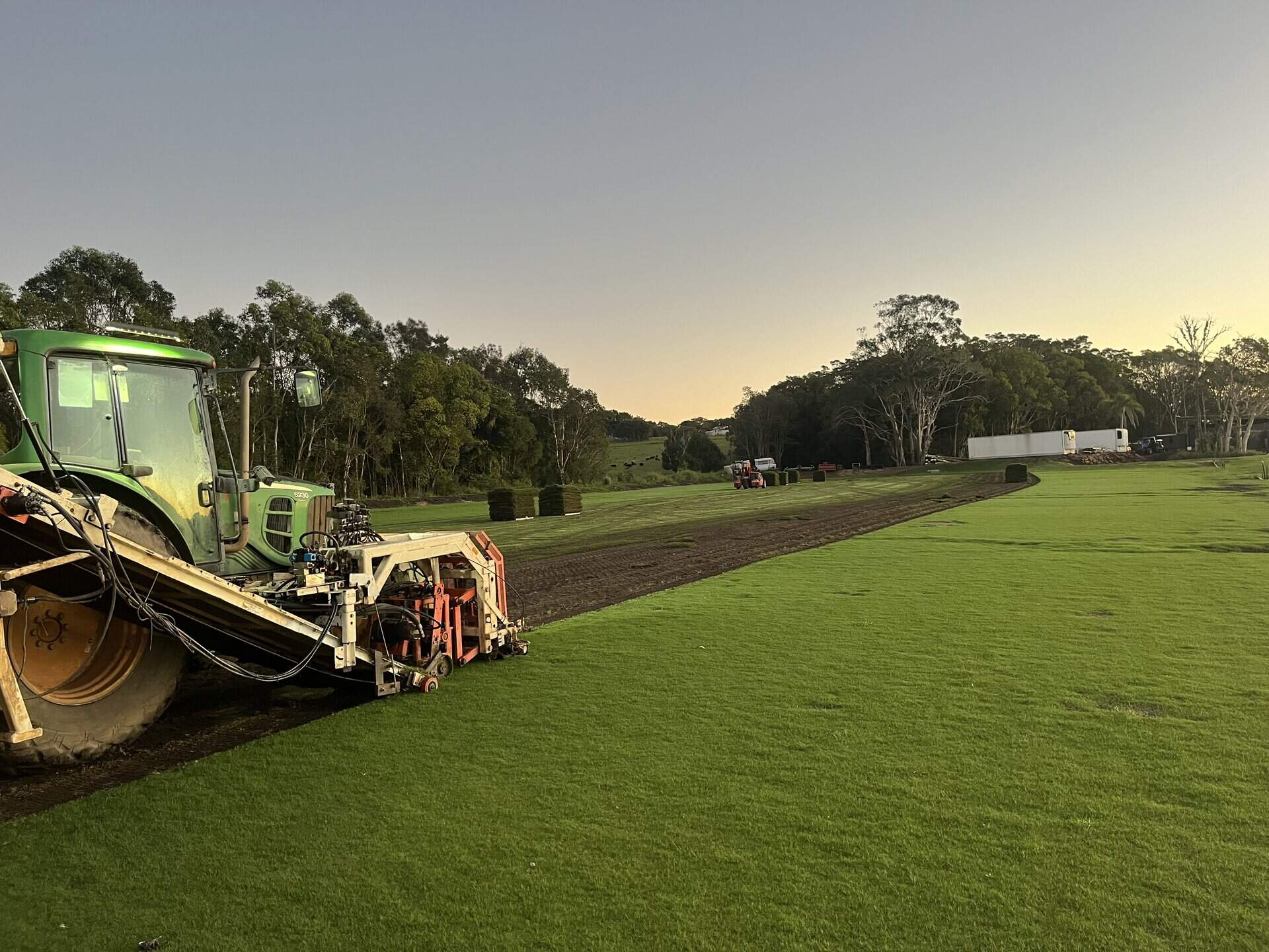 Established lawn grown by Clarence Valley Turf